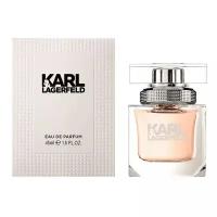 Karl Lagerfeld Karl Lagerfeld for Him купить в Москве недорого, каталог товаров по низким ценам в интернет-магазинах с доставкой