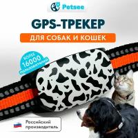 Ошейники с навигаторами для кошек купить в Москве недорого, каталог товаров по низким ценам в интернет-магазинах с доставкой