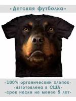 Футболки Rottweiler купить в Москве недорого, каталог товаров по низким ценам в интернет-магазинах с доставкой
