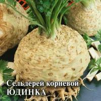 Семена сельдерей юдинка купить в Москве недорого, каталог товаров по низким ценам в интернет-магазинах с доставкой