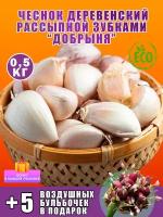 Семена чеснока купить в Москве недорого, каталог товаров по низким ценам в интернет-магазинах с доставкой
