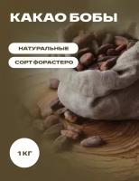 Какао бобы в мешках купить в Москве недорого, каталог товаров по низким ценам в интернет-магазинах с доставкой