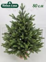 Новогодние искусственные елки купить в Серпухове недорого, в каталоге 23645 товаров по низким ценам в интернет-магазинах с доставкой