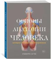 Большие книги. анатомия человека купить в Москве недорого, каталог товаров по низким ценам в интернет-магазинах с доставкой