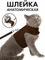Шлейки, ошейники для кошек купить в Сергиевом Посаде недорого, в каталоге 2043 товара по низким ценам в интернет-магазинах с доставкой