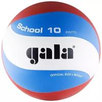 Мячи волейбольные Gala School купить в Москве недорого, каталог товаров по низким ценам в интернет-магазинах с доставкой