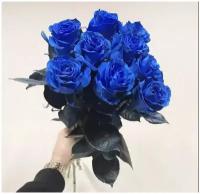 Букеты 101 синяя роза купить в Москве недорого, каталог товаров по низким ценам в интернет-магазинах с доставкой