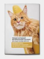 Аксессуары, расходные материалы для ветеринарии купить в Екатеринбурге недорого, в каталоге 19795 товаров по низким ценам в интернет-магазинах с доставкой
