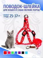 Шлейки, ошейники для кошек купить в Москве недорого, в каталоге 7660 товаров по низким ценам в интернет-магазинах с доставкой
