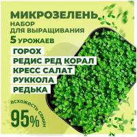 Зелень, салаты купить в Екатеринбурге недорого, в каталоге 4813 товаров по низким ценам в интернет-магазинах с доставкой