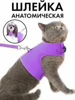 Шлейки, ошейники для кошек купить в Серпухове недорого, в каталоге 2046 товаров по низким ценам в интернет-магазинах с доставкой