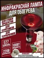 Инкубаторы для яиц купить в Нижнем Новгороде недорого, в каталоге 2993 товара по низким ценам в интернет-магазинах с доставкой
