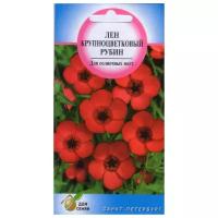 Льны крупноцветковые красные купить в Москве недорого, каталог товаров по низким ценам в интернет-магазинах с доставкой