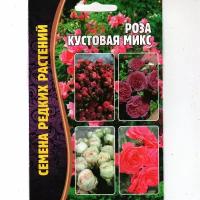 Розы кустовые John Davis купить в Москве недорого, каталог товаров по низким ценам в интернет-магазинах с доставкой