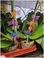 Клипса для орхидей стрекозы, зажимы для цветоносов, держатель, поддержка, крепление и опора для цветоноса орхидеи, упаковка 10шт