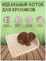 Туалеты и аксессуары для грызунов купить в Москве недорого, в каталоге 807 товаров по низким ценам в интернет-магазинах с доставкой