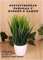Искусственные растения в кашпо купить в Москве недорого, каталог товаров по низким ценам в интернет-магазинах с доставкой