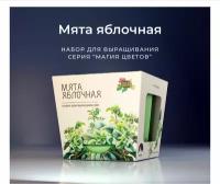 Нарру plant набор для выращивания мята перечная купить в Москве недорого, каталог товаров по низким ценам в интернет-магазинах с доставкой